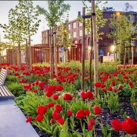 Joanna 2 Parter Blisko Prezero, Dworca Lejlighed *