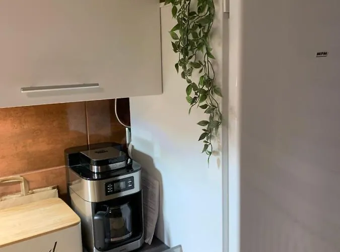 Joanna 2 Parter Blisko Prezero, Dworca * Gliwice